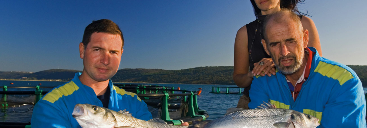 Fonda Family - Fisch - Biologischer Branzino