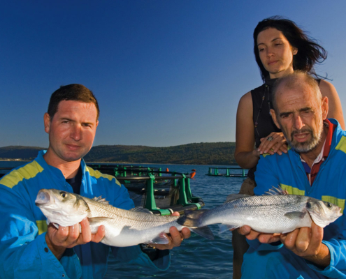 Fonda Family - Fisch - Biologischer Branzino