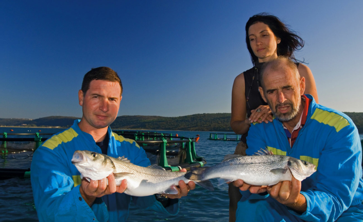 Fonda Family - Fisch - Biologischer Branzino