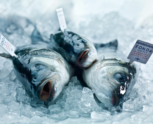 Fisch - Biologischer Branzino