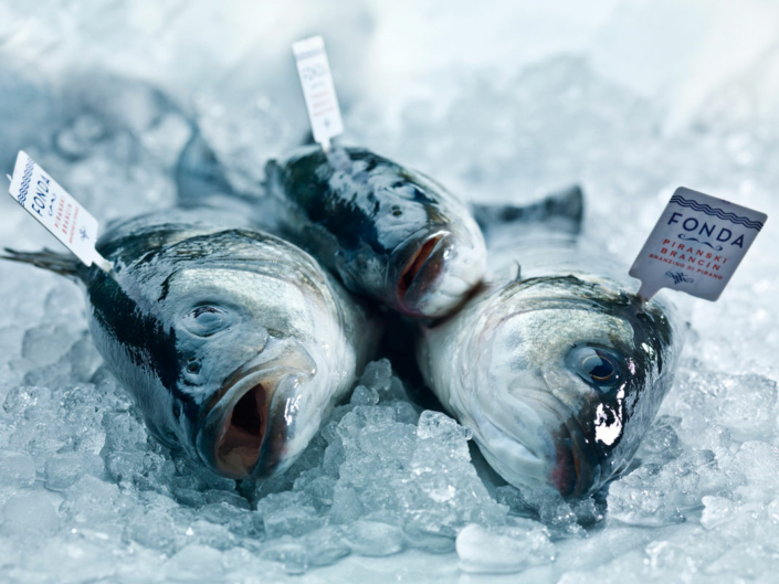 Fisch - Biologischer Branzino