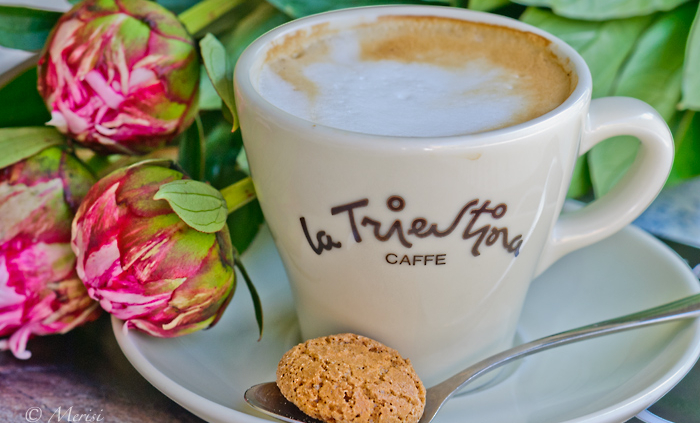 Ein kleiner Caffè in Triest - La Salvia