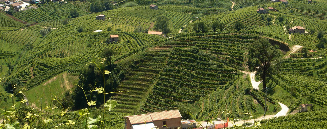 Prosecco di Valdobbiadene