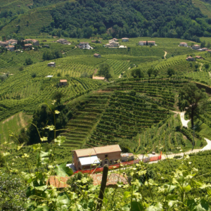 Valdobbiadene Prosecco