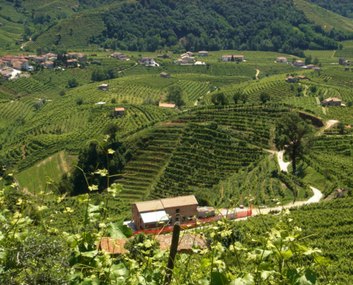 Käse Das Käsespektrum von La Salvia definiert sich durch die Region Norditalien und den Karst