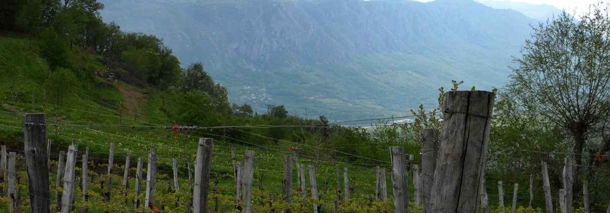 Vipava Tal - Weinregionen