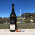 Subida di Monte - Pinot Grigio